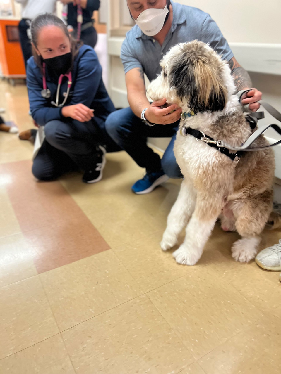  May 12, 2022 | Ale Ramos Therapy Animals
