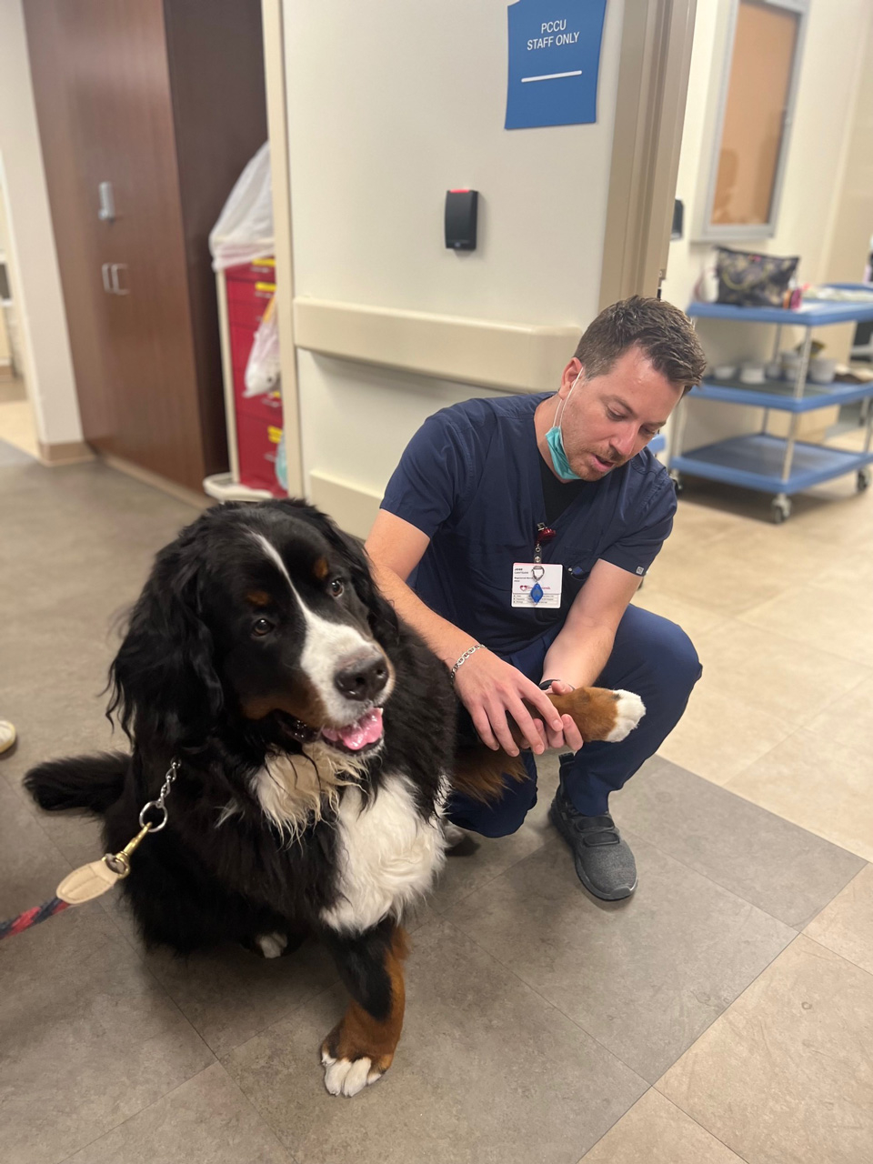  May 12, 2022 | Ale Ramos Therapy Animals