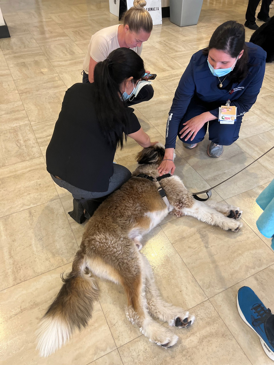  May 12, 2022 | Ale Ramos Therapy Animals