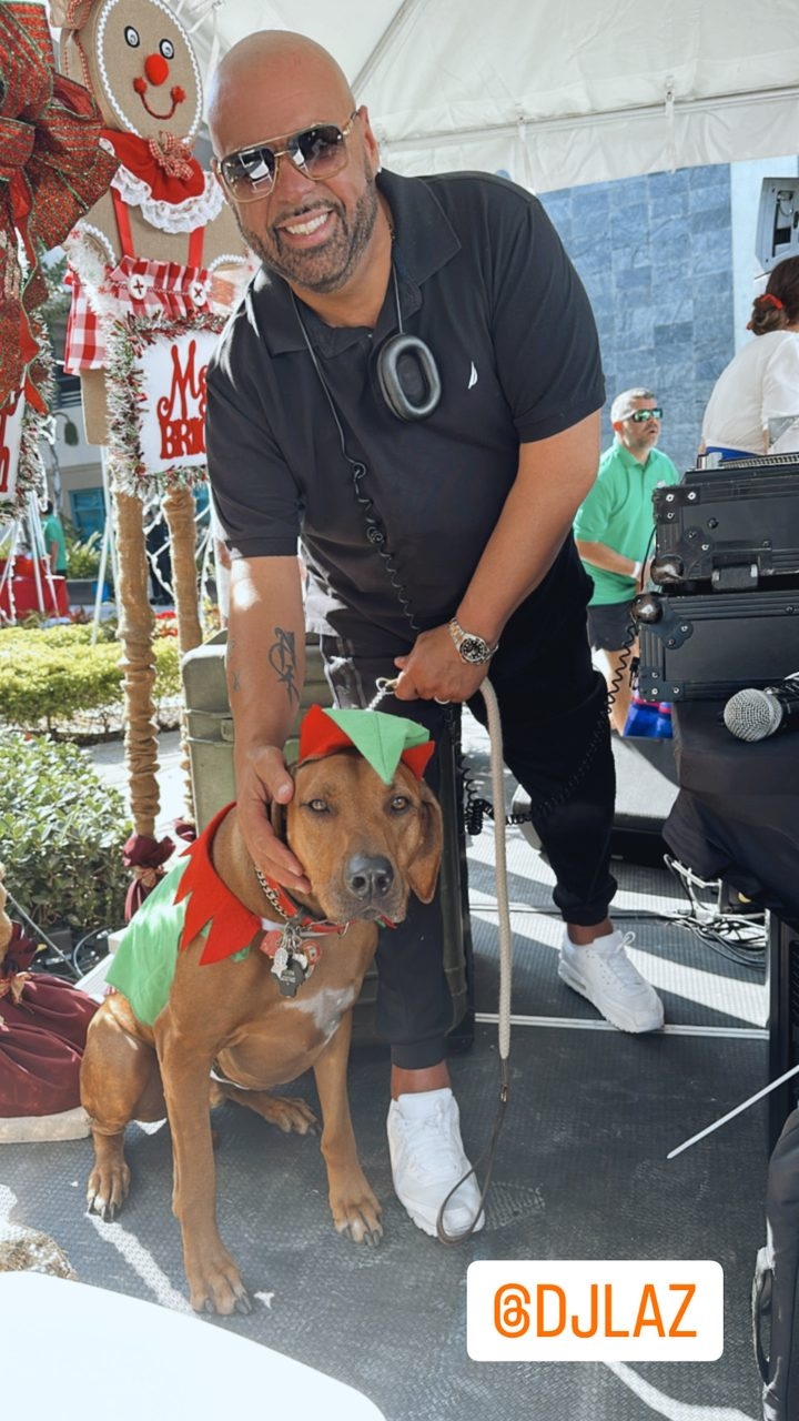 Odin at Michael Fux Event | Ale Ramos Therapy Animals