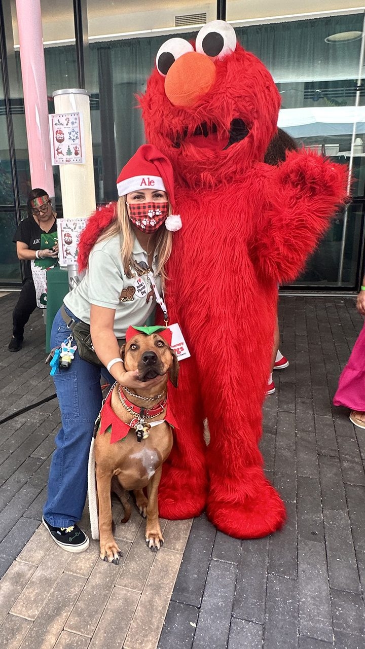Odin at Michael Fux Event | Ale Ramos Therapy Animals