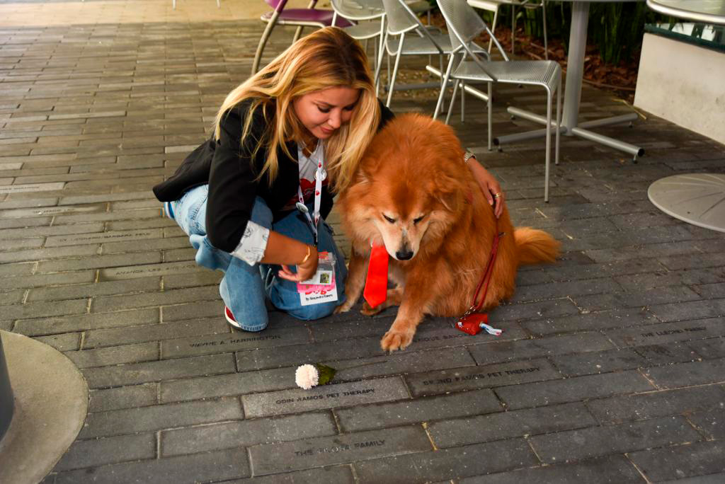  Nov 7, 2023 | Ale Ramos Therapy Animals
