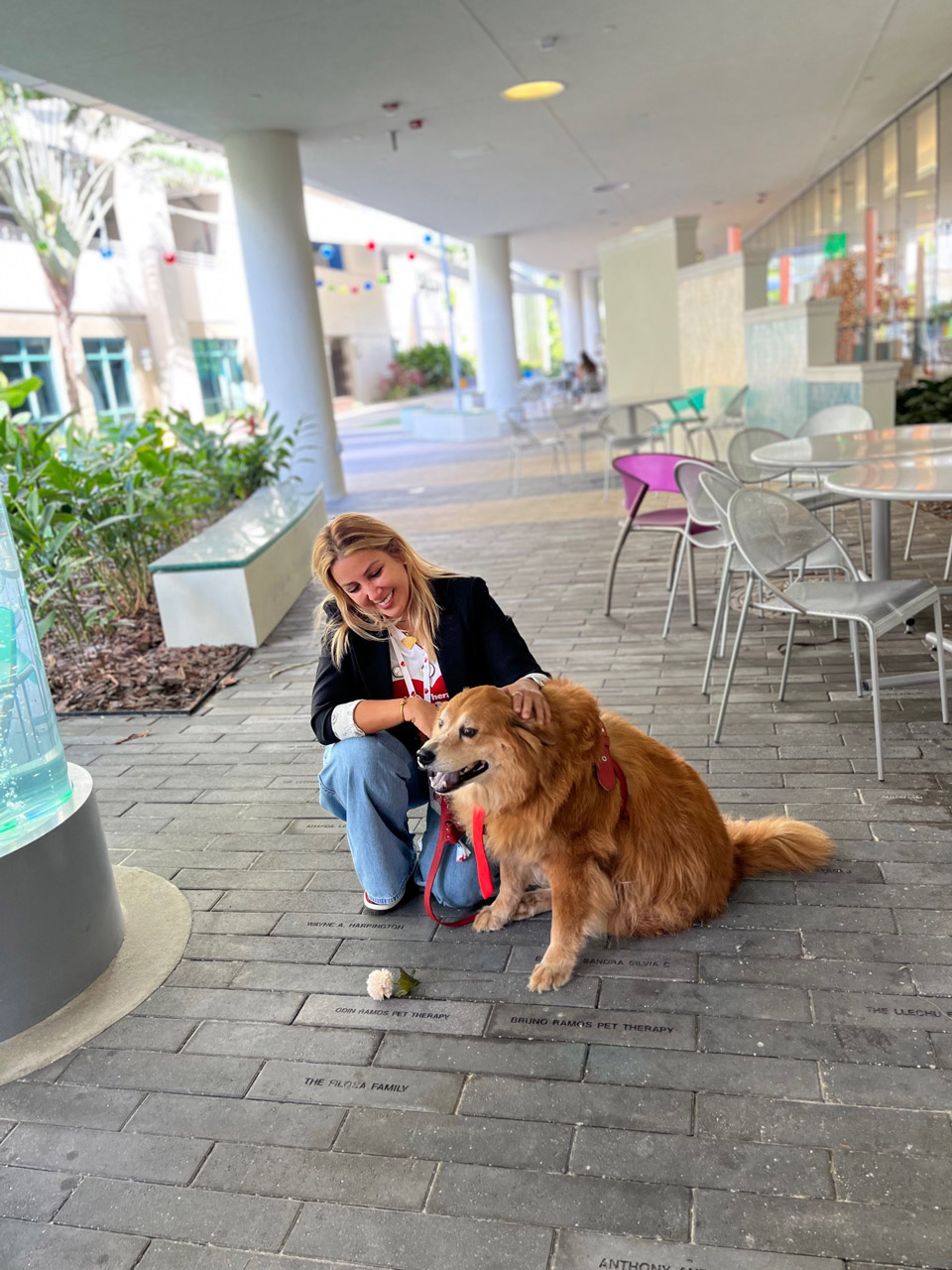  Nov 7, 2023 | Ale Ramos Therapy Animals