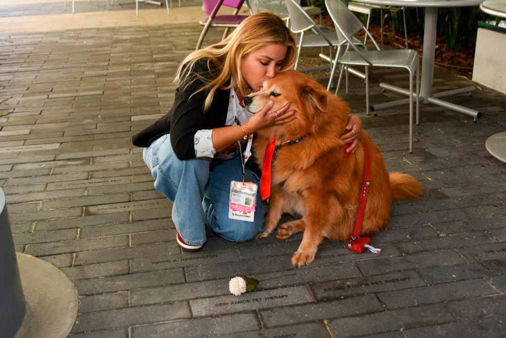  Nov 7, 2023 | Ale Ramos Therapy Animals