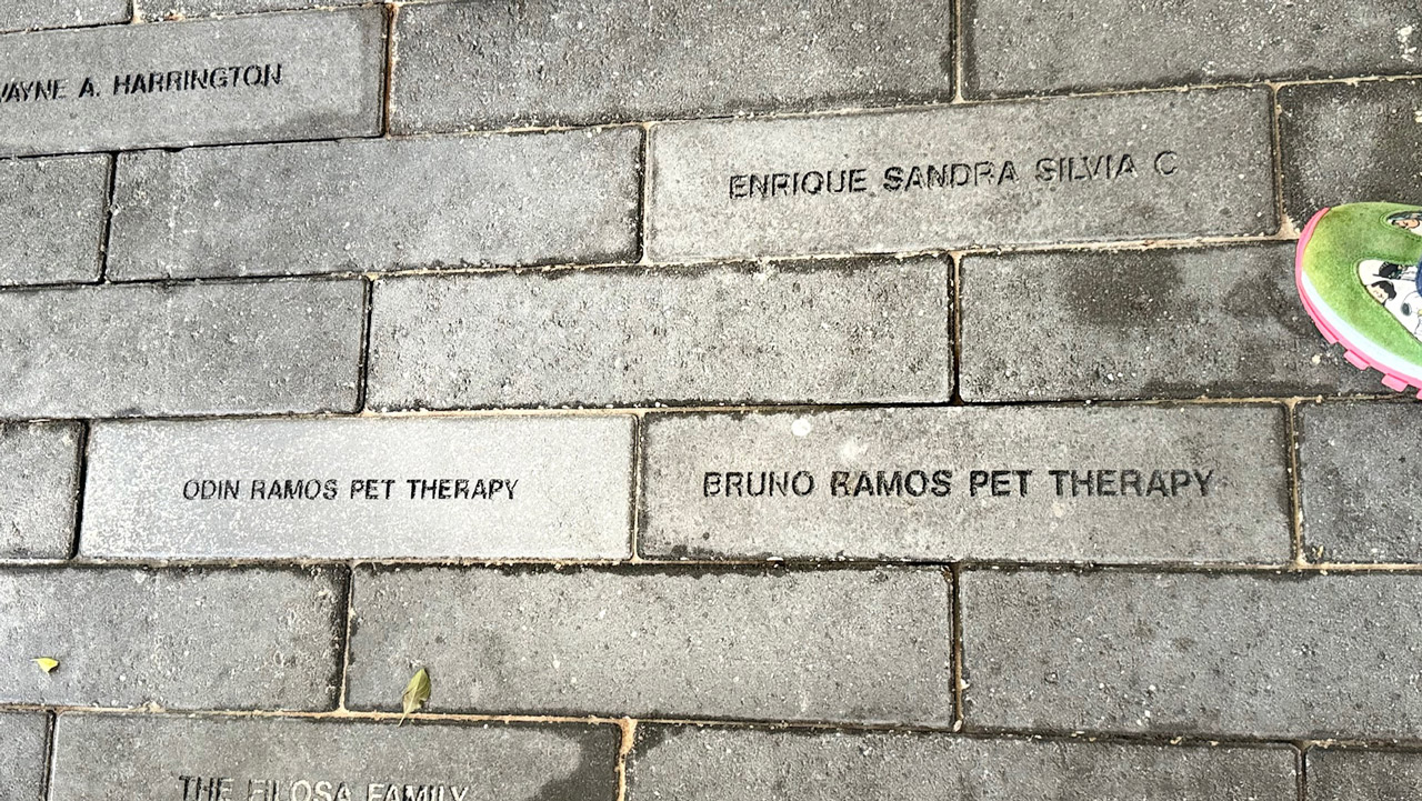  Nov 7, 2023 | Ale Ramos Therapy Animals
