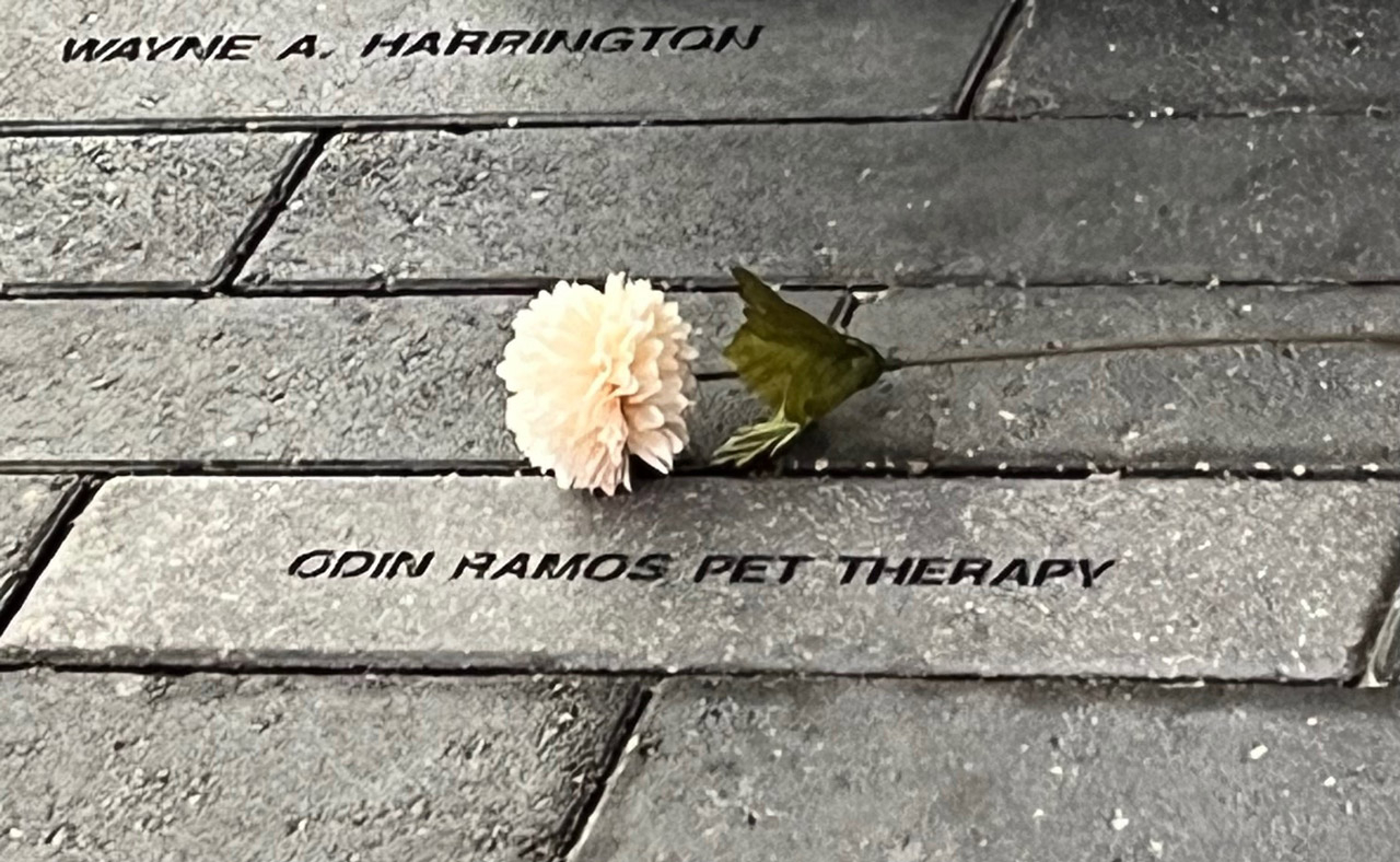  Nov 7, 2023 | Ale Ramos Therapy Animals