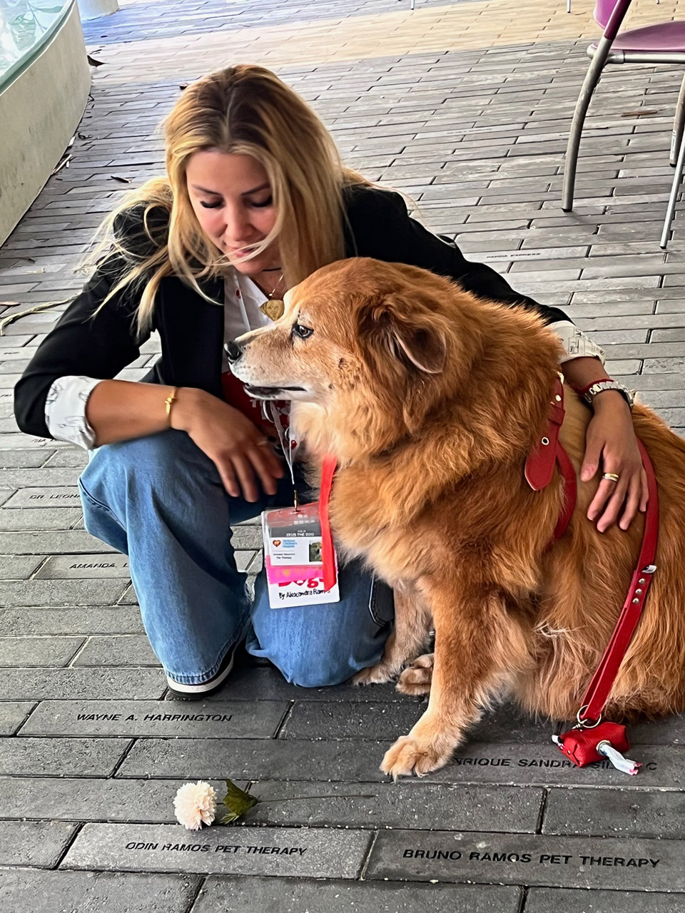  Nov 7, 2023 | Ale Ramos Therapy Animals