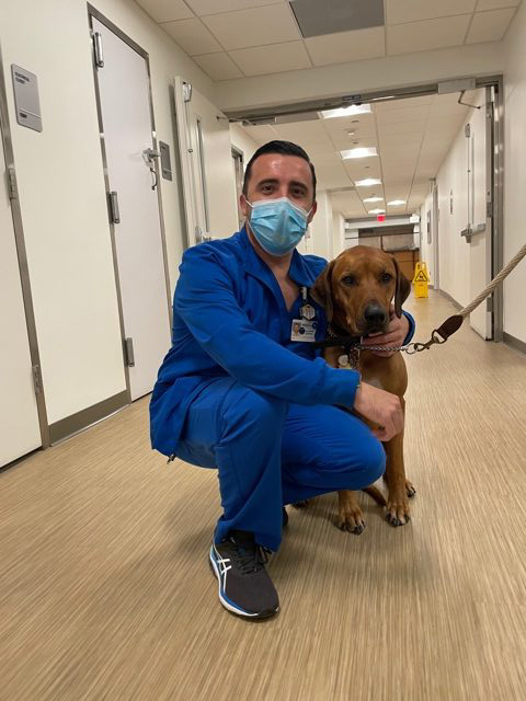 Odin Love | Ale Ramos Therapy Animals