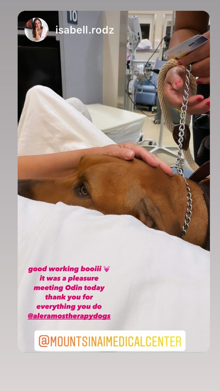 Odin Love | Ale Ramos Therapy Animals