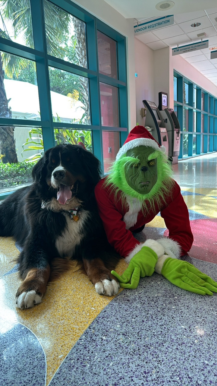  Dec 10, 2023 | Ale Ramos Therapy Animals