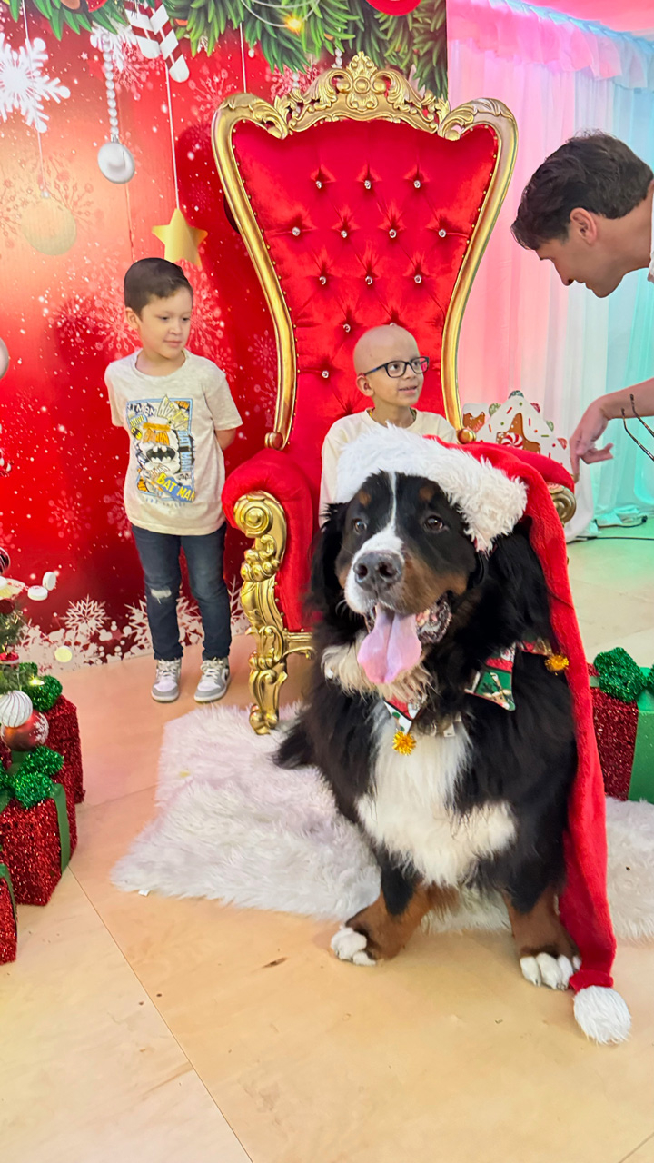  Dec 10, 2023 | Ale Ramos Therapy Animals