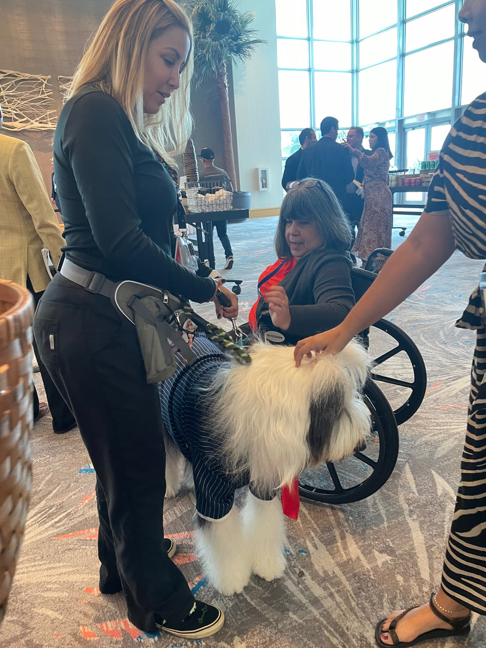  Oct 28, 2023 | Ale Ramos Therapy Animals