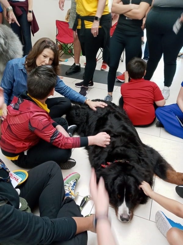Our Pride Academy visit by Apollo | Ale Ramos Therapy Animals