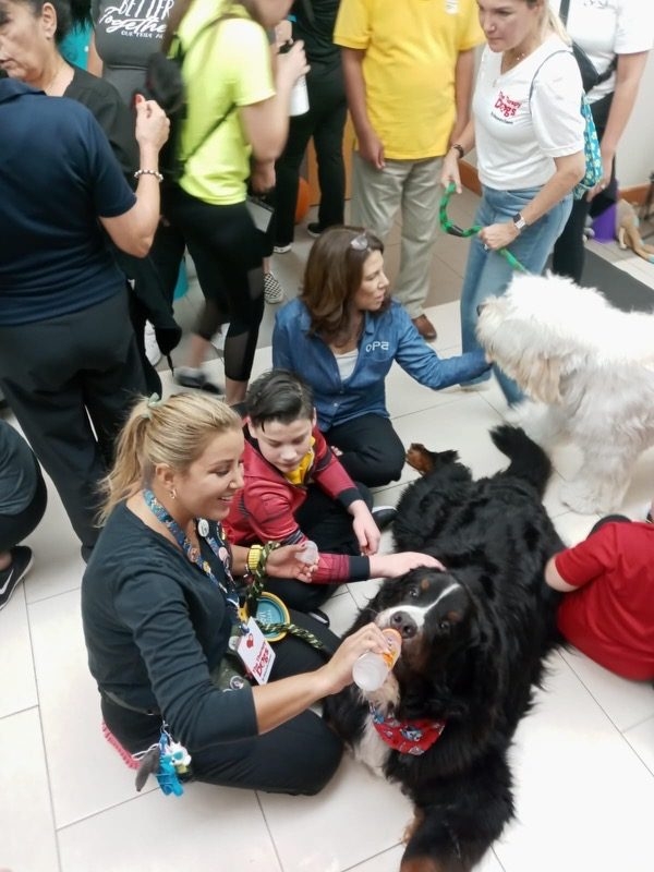 Our Pride Academy visit by Apollo | Ale Ramos Therapy Animals