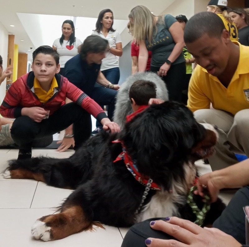Our Pride Academy visit by Apollo | Ale Ramos Therapy Animals