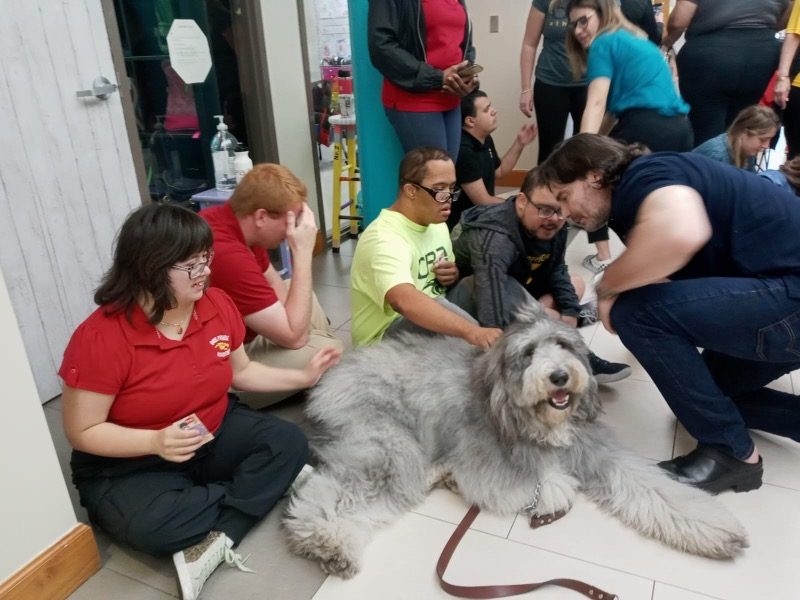 Our Pride Academy visit by Apollo | Ale Ramos Therapy Animals