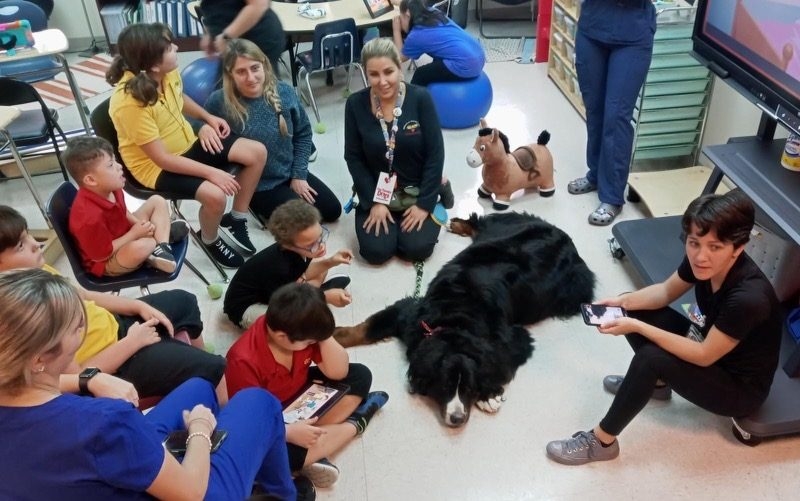 Our Pride Academy visit by Apollo | Ale Ramos Therapy Animals