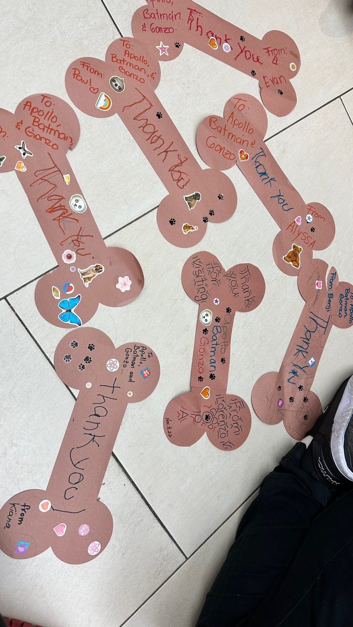 Our Pride Academy visit by Apollo | Ale Ramos Therapy Animals