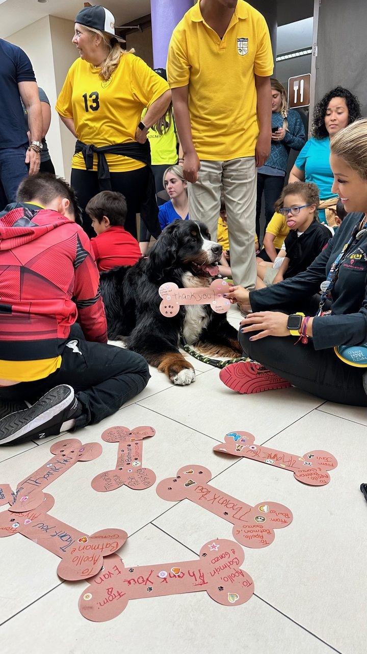Our Pride Academy visit by Apollo | Ale Ramos Therapy Animals