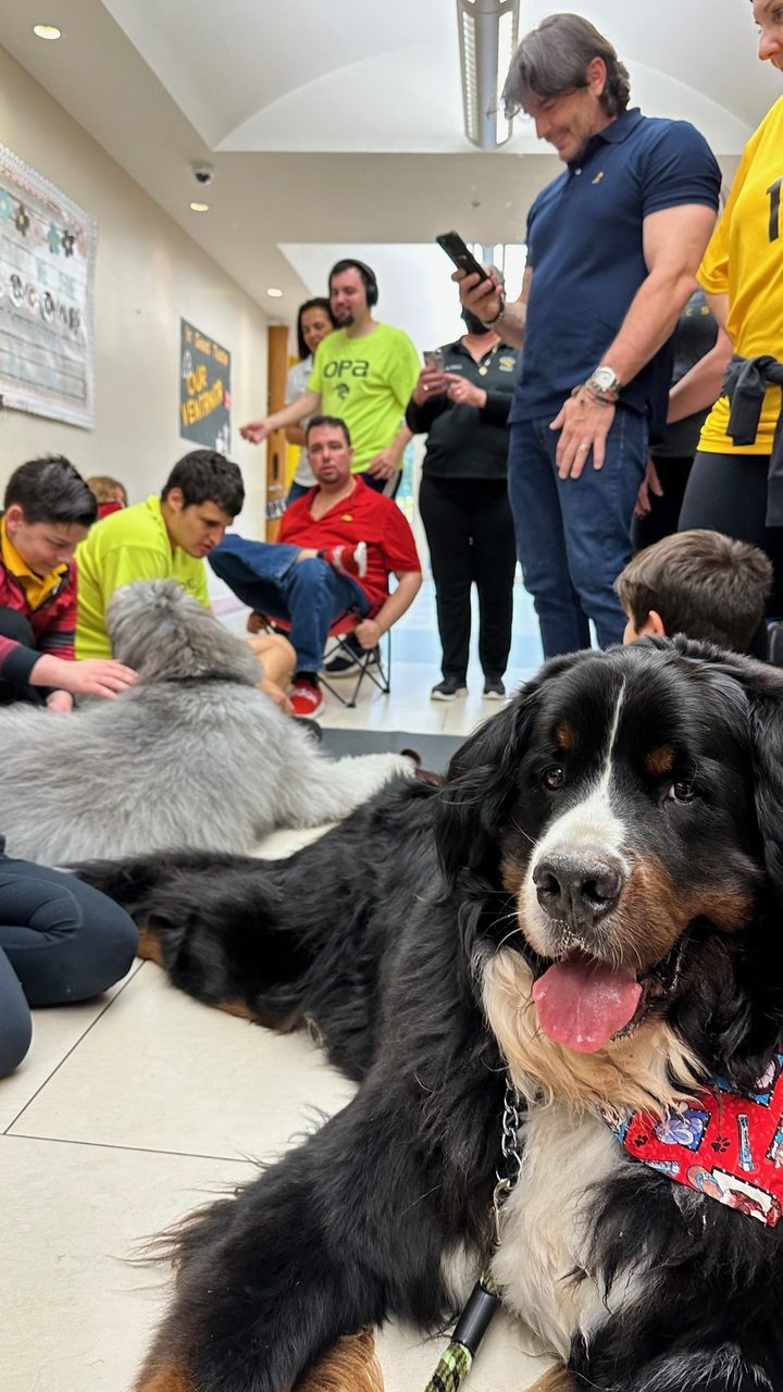 Our Pride Academy visit by Apollo | Ale Ramos Therapy Animals