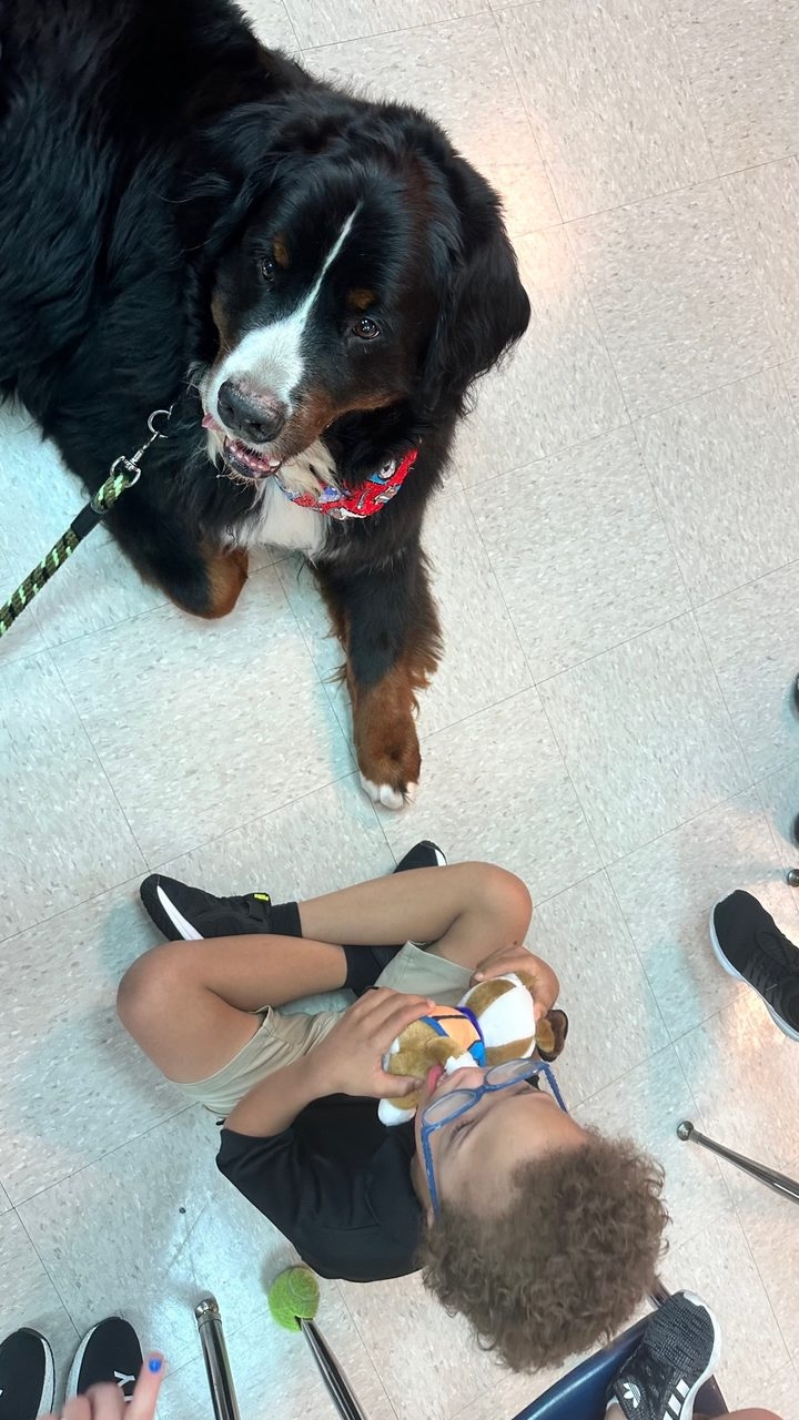 Our Pride Academy visit by Apollo | Ale Ramos Therapy Animals