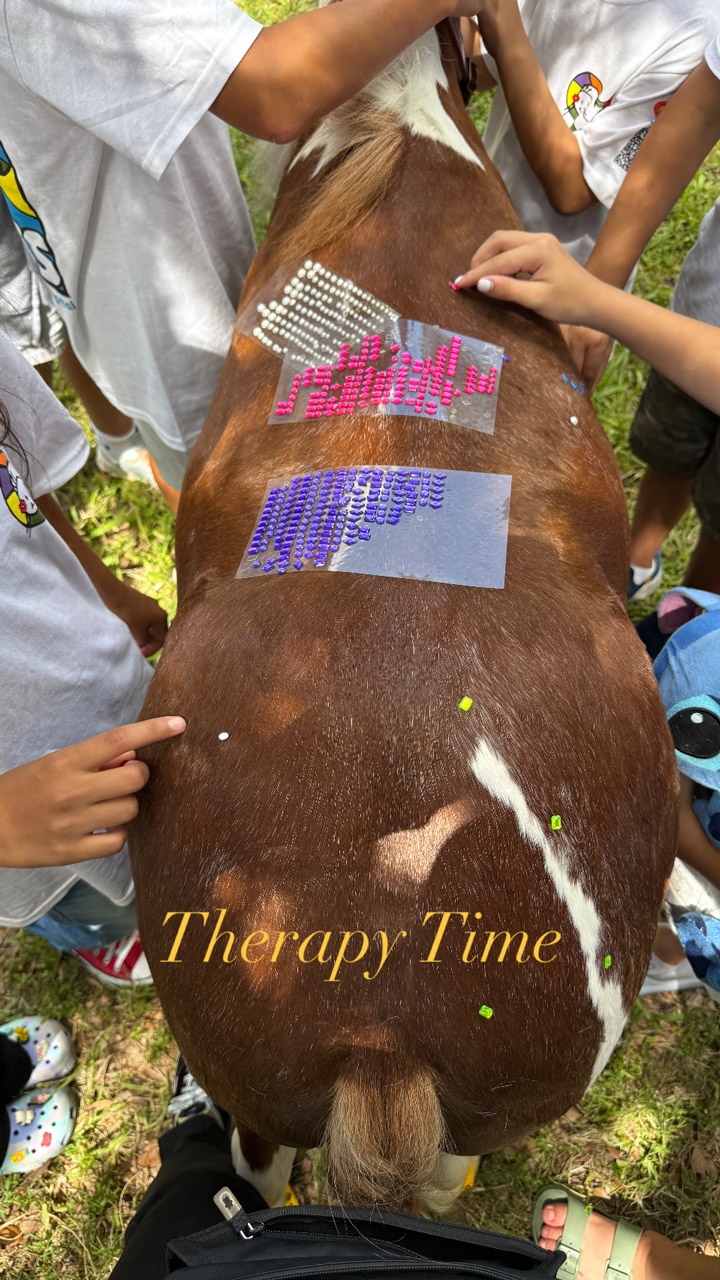 Outs Camp Oncology by Nicklaus Children’s Hospital - June 24, 2025 | Ale Ramos Therapy Animals