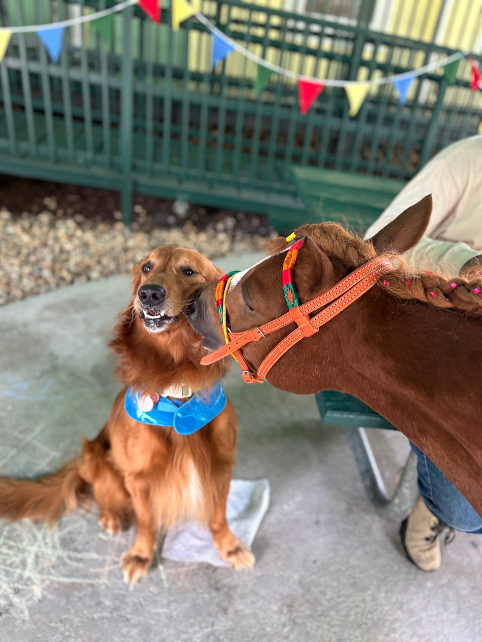 Outs Camp Oncology by Nicklaus Children’s Hospital - June 24, 2025 | Ale Ramos Therapy Animals