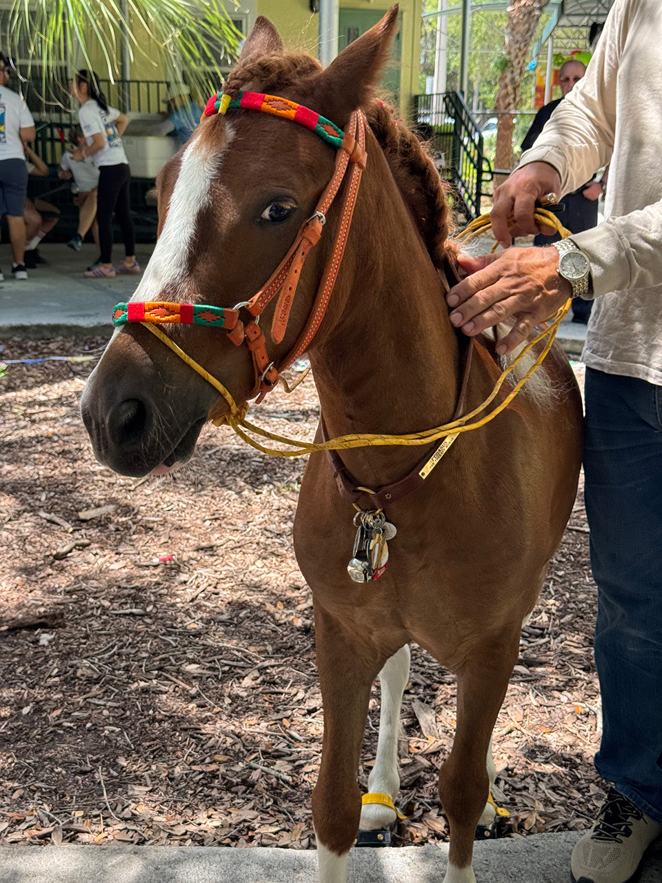 Outs Camp Oncology by Nicklaus Children’s Hospital - June 24, 2025 | Ale Ramos Therapy Animals