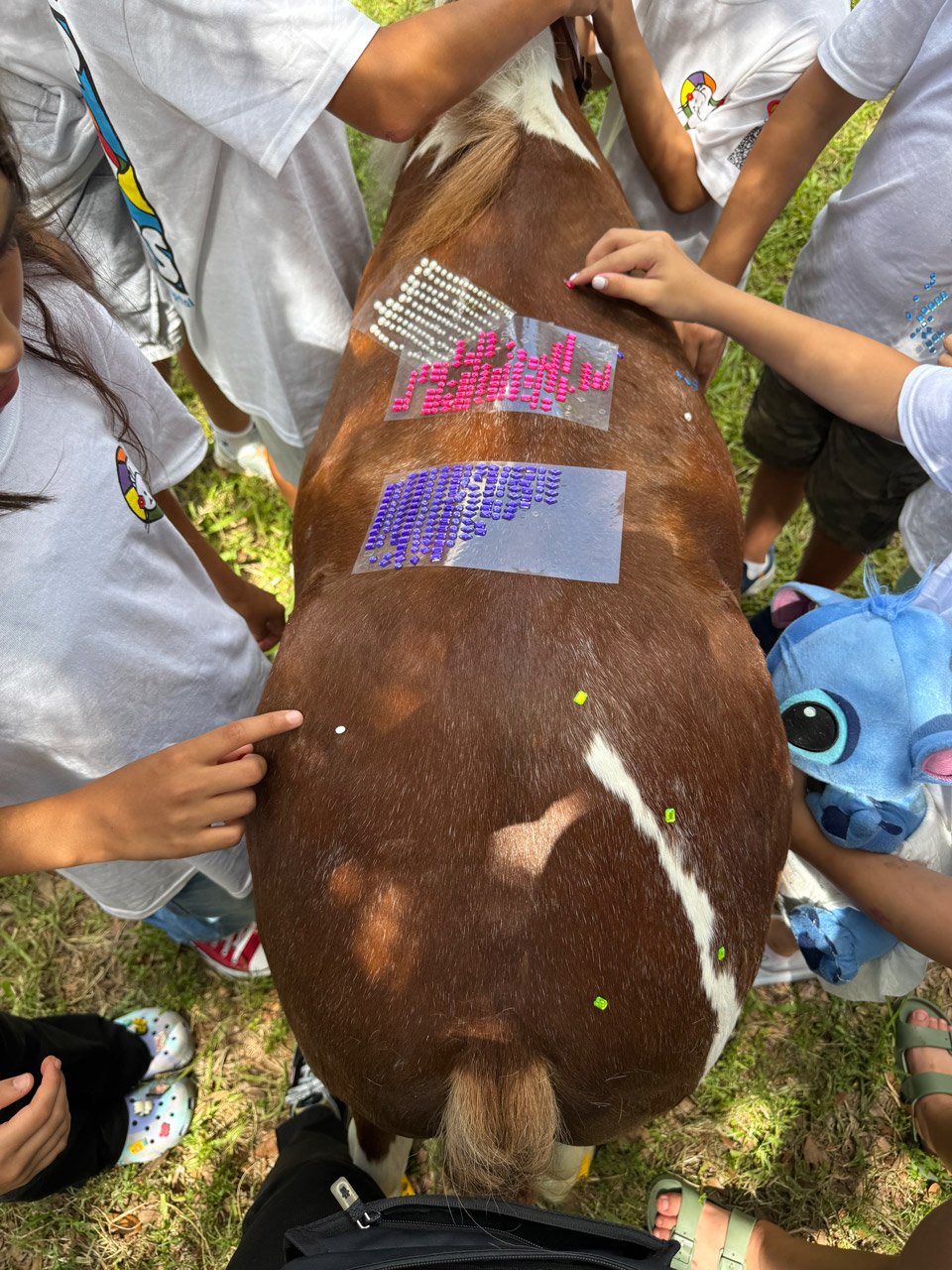 Outs Camp Oncology by Nicklaus Children’s Hospital - June 24, 2025 | Ale Ramos Therapy Animals