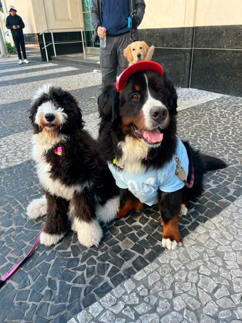  January 30, 2022 | Ale Ramos Therapy Animals