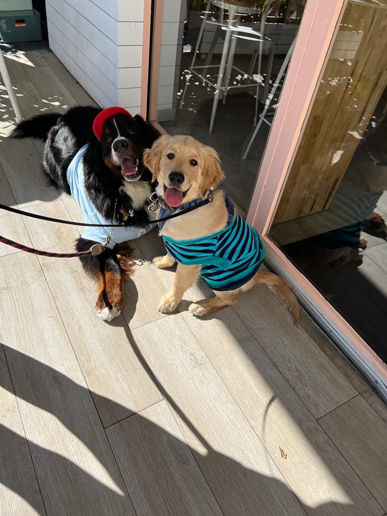 January 30, 2022 | Ale Ramos Therapy Animals