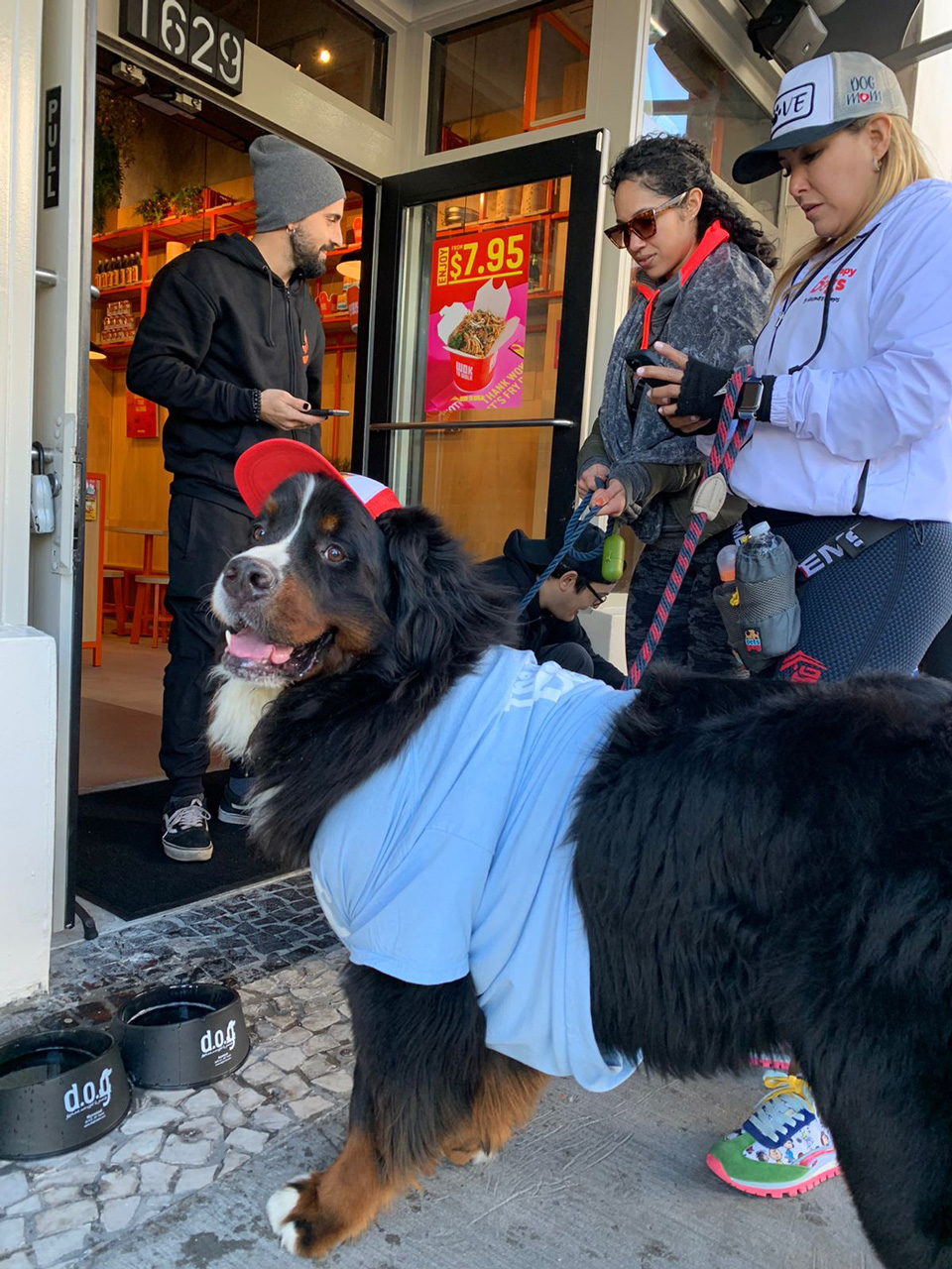  January 30, 2022 | Ale Ramos Therapy Animals