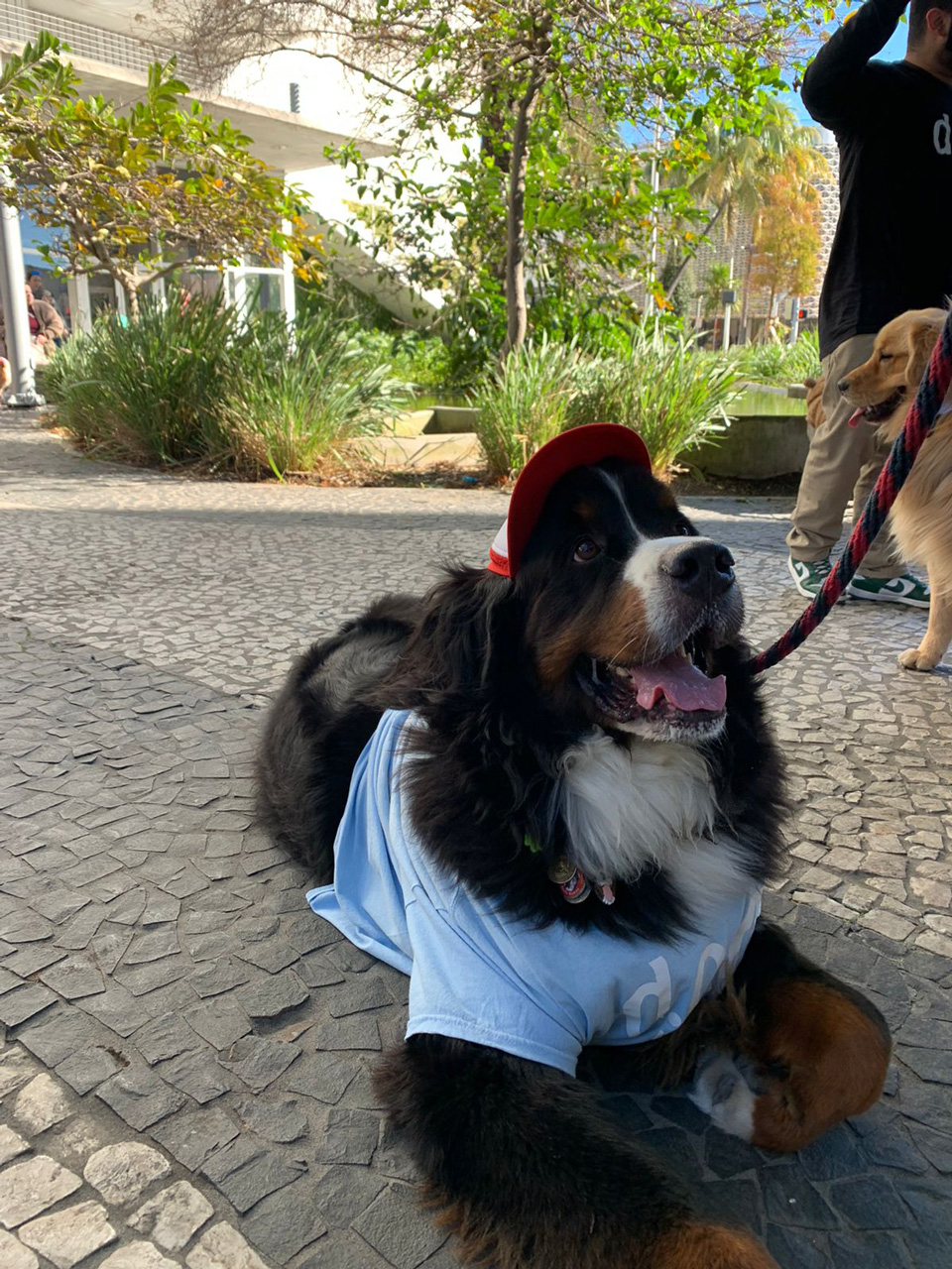  January 30, 2022 | Ale Ramos Therapy Animals