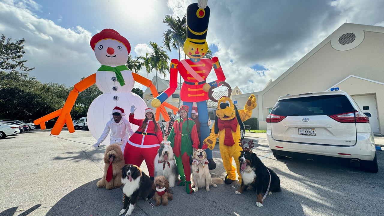 Dec 9, 2023 | Ale Ramos Therapy Animals