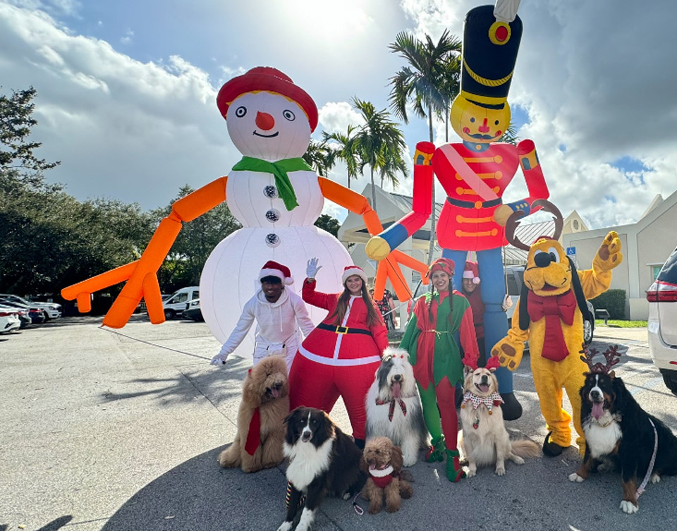  Dec 9, 2023 | Ale Ramos Therapy Animals