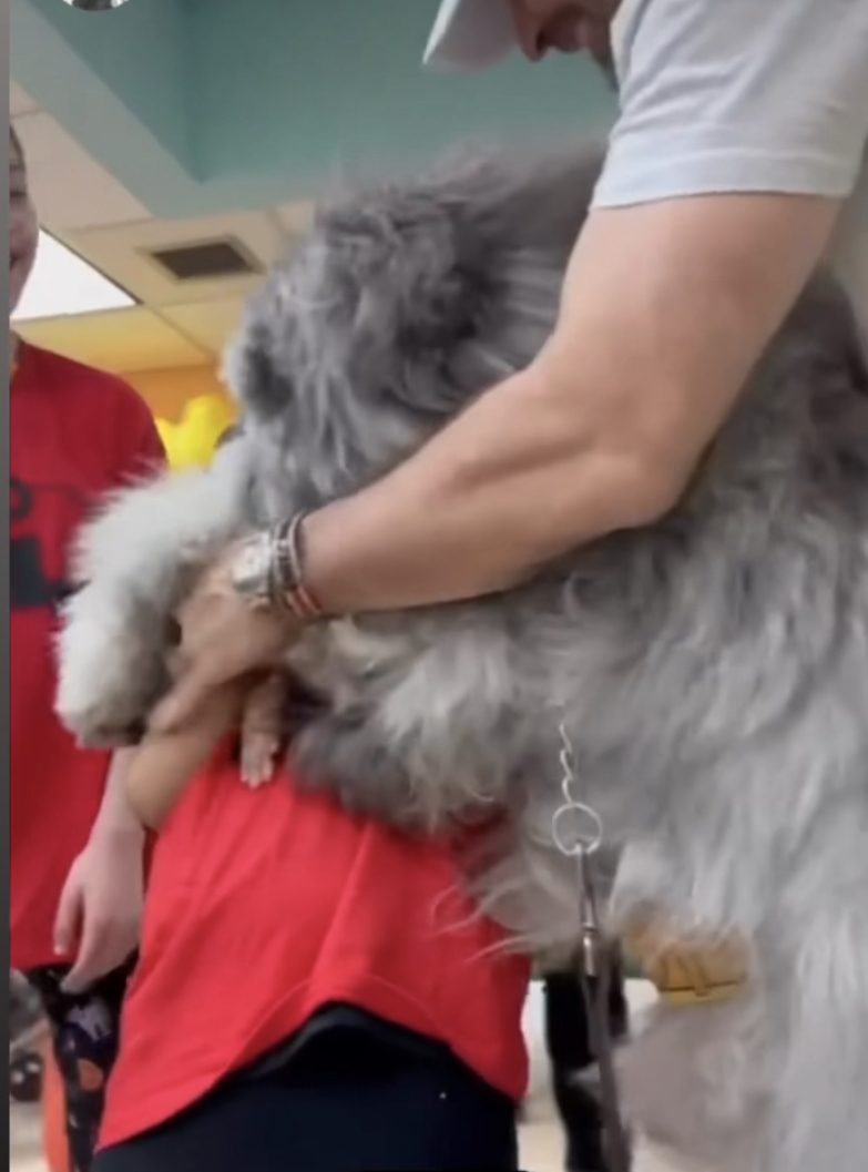  Oct 28, 2022 | Ale Ramos Therapy Animals