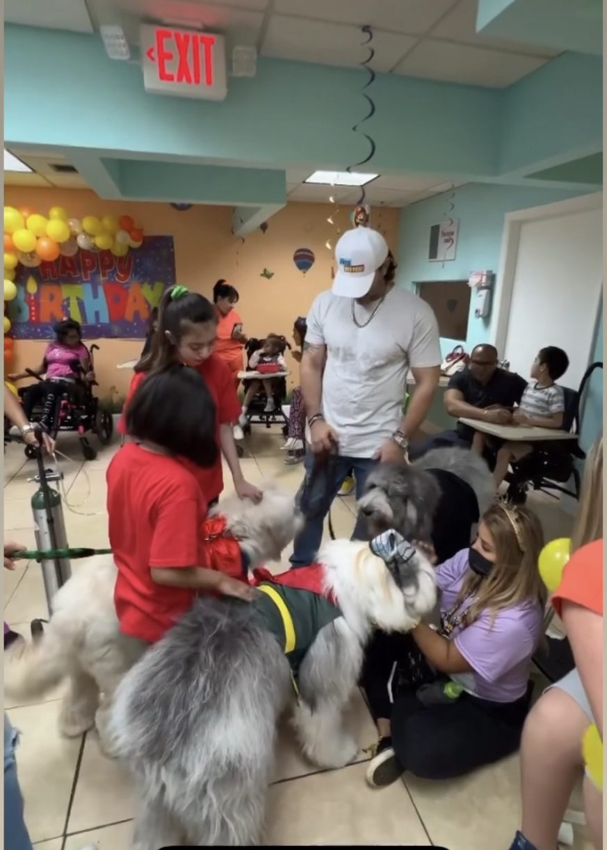  Oct 28, 2022 | Ale Ramos Therapy Animals