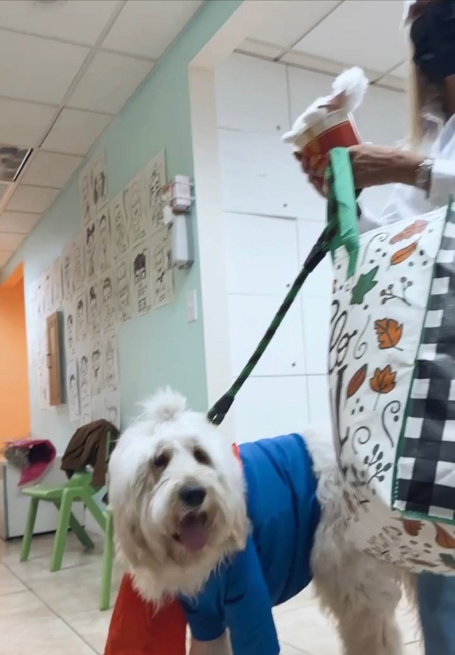  Oct 28, 2022 | Ale Ramos Therapy Animals