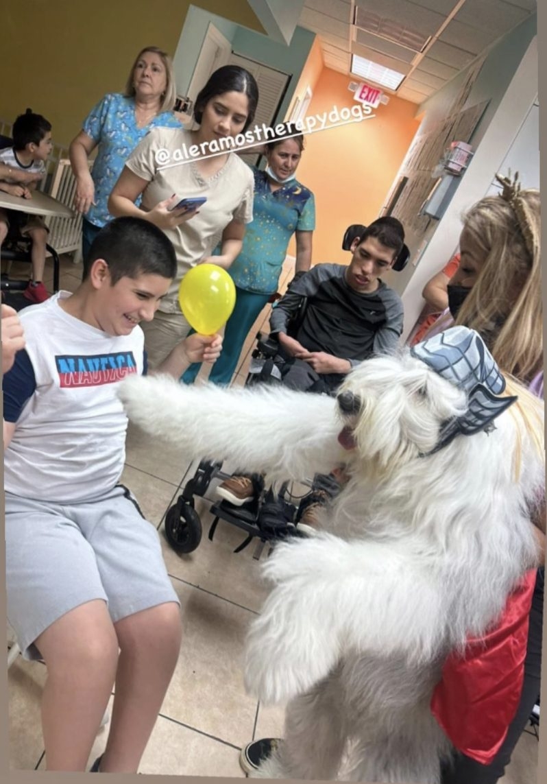  Oct 28, 2022 | Ale Ramos Therapy Animals
