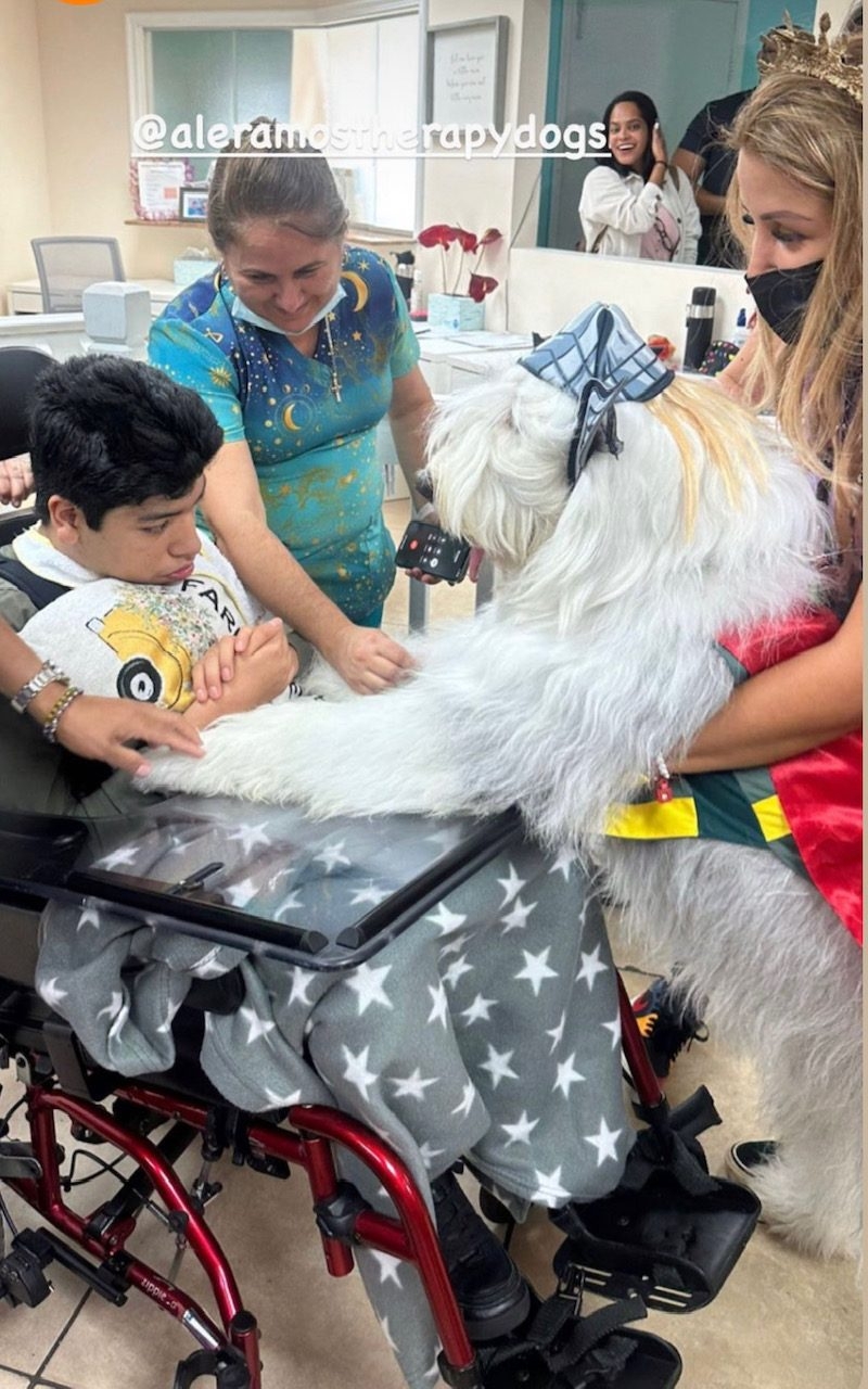  Oct 28, 2022 | Ale Ramos Therapy Animals