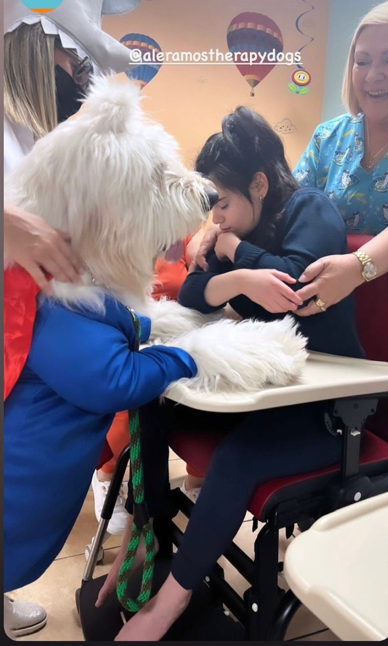  Oct 28, 2022 | Ale Ramos Therapy Animals