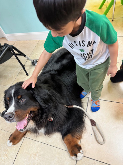 Pedikidz visit by Apollo + Batman - March 22, 2024 | Ale Ramos Therapy Animals