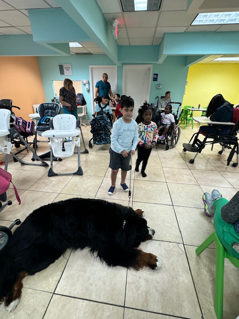 Pedikidz visit by Apollo + Batman - March 22, 2024 | Ale Ramos Therapy Animals