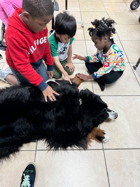 Pedikidz visit by Apollo + Batman - March 22, 2024 | Ale Ramos Therapy Animals