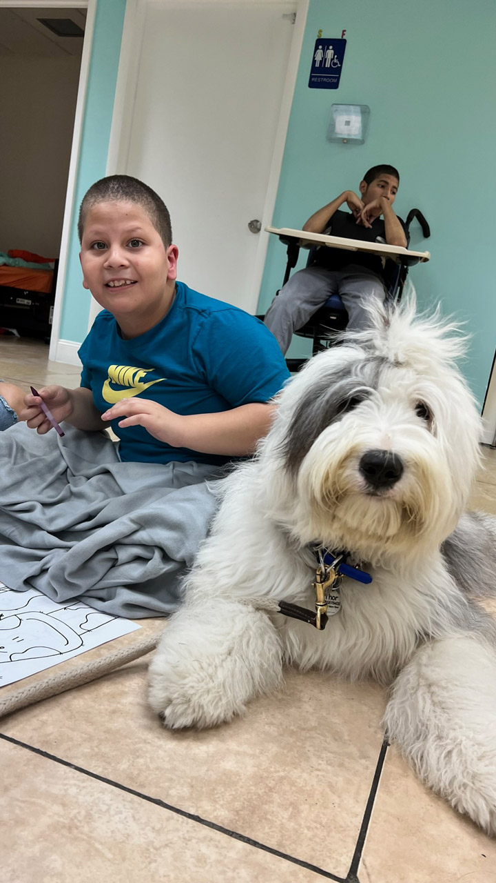  March 9, 2022 | Ale Ramos Therapy Animals