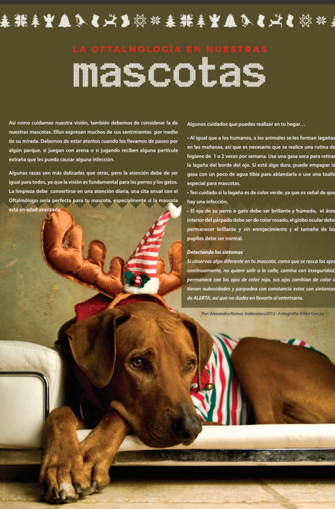 Peekaboo Kids Magazine / Edition December – January 2018 | Ale Ramos Therapy Animals