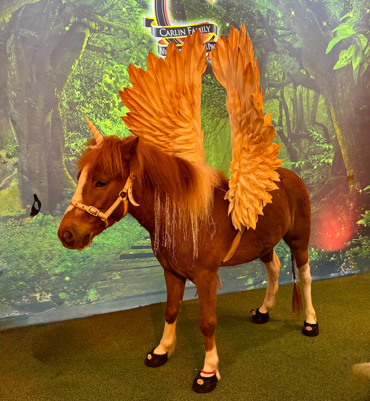 Pegasus at Carlin Prom by Nicklaus Children’s Hospital - April 12, 2025 | Ale Ramos Therapy Animals