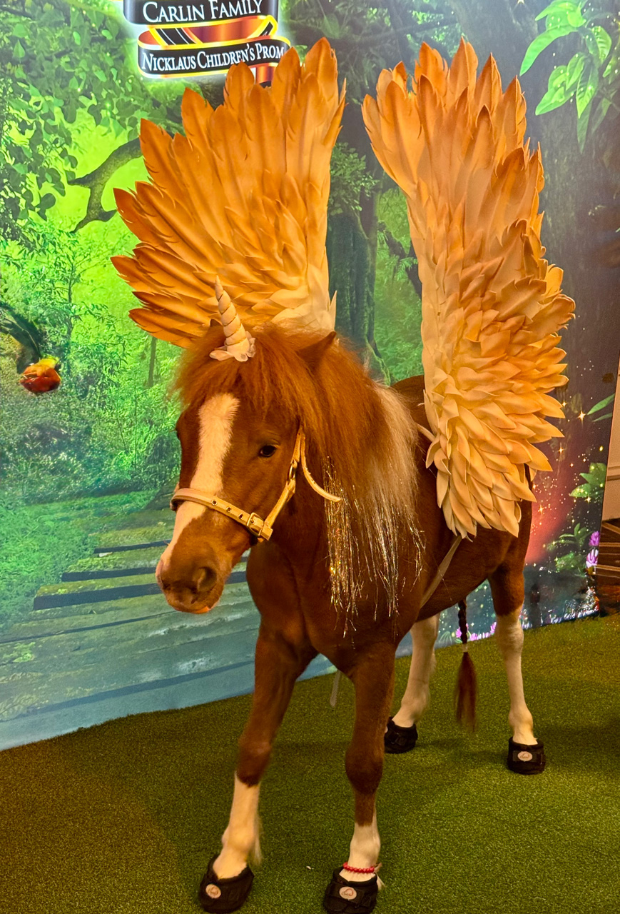 Pegasus at Carlin Prom by Nicklaus Children’s Hospital - April 12, 2025 | Ale Ramos Therapy Animals