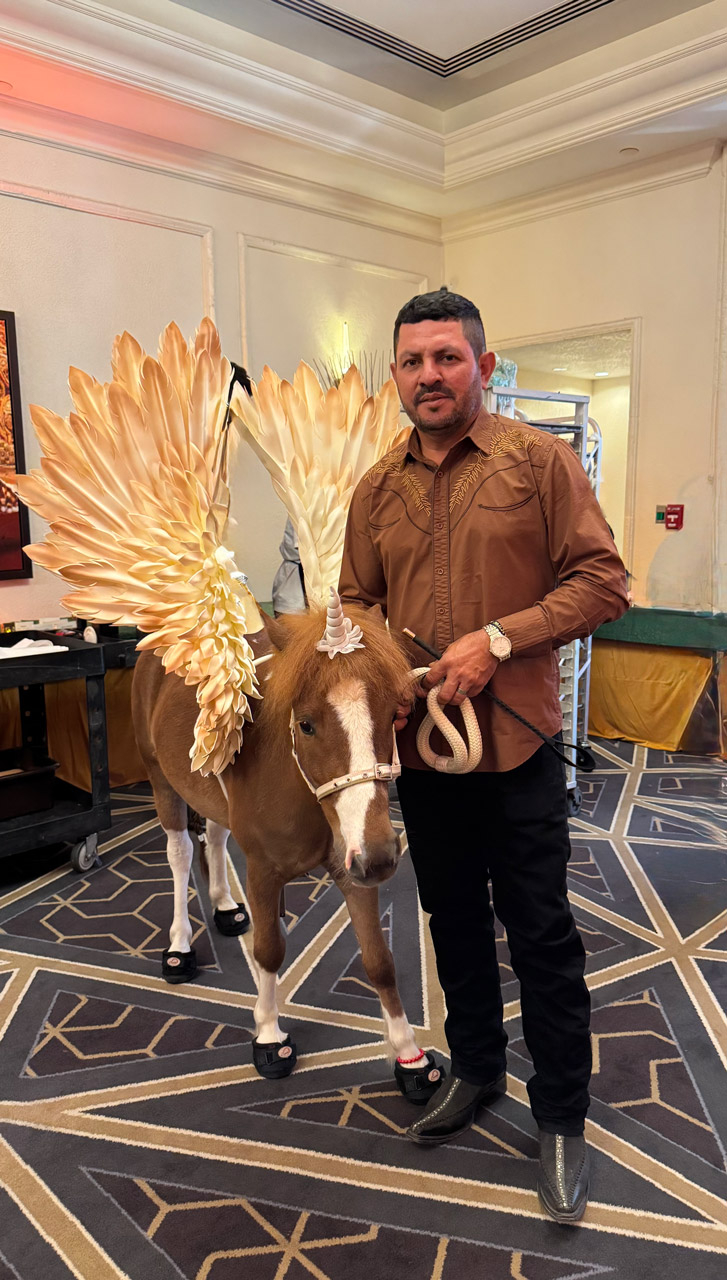 Pegasus at Carlin Prom by Nicklaus Children’s Hospital - April 12, 2025 | Ale Ramos Therapy Animals