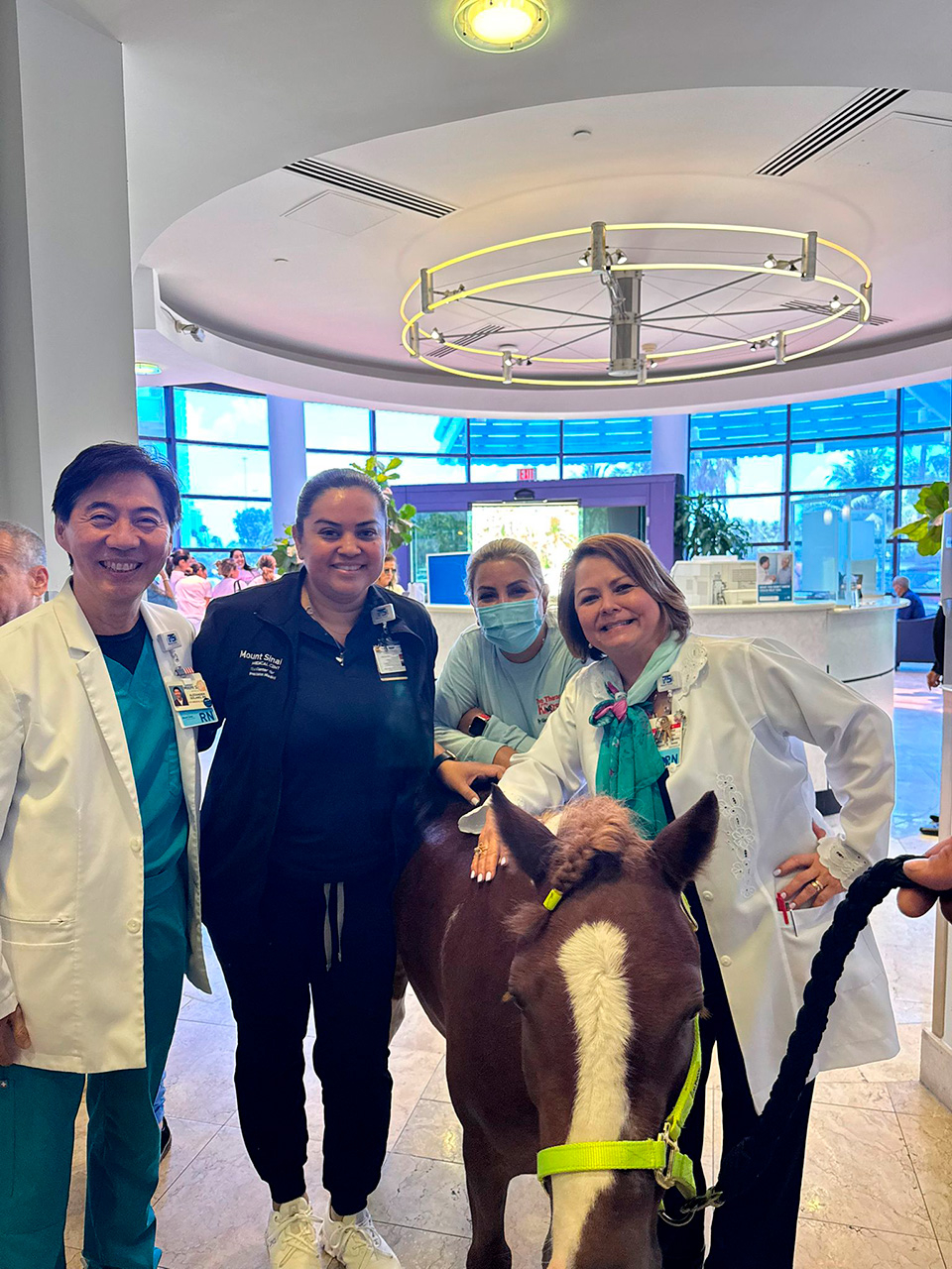 Pegasus at Mount Sinai - June 19, 2025 | Ale Ramos Therapy Animals